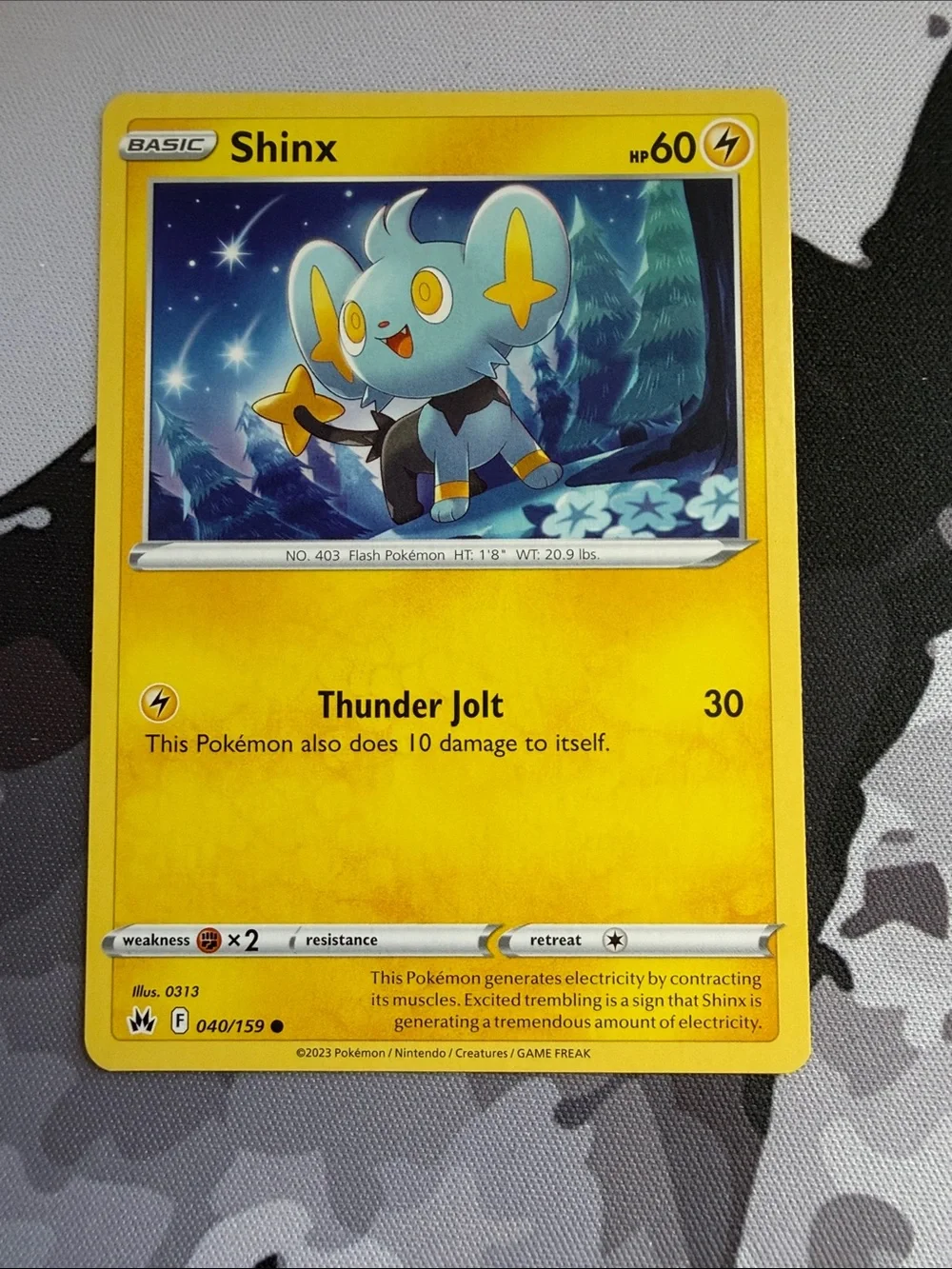 Shinx & Luxio Collection Lot | 6 Pokémon Cards | ✨5/$25✨